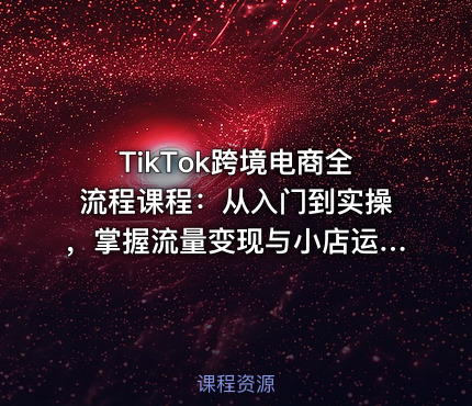 TikTok跨境电商全流程课程：从入门到实操，掌握流量变现与小店运营