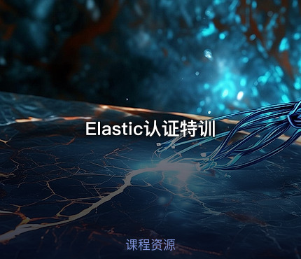 Elastic认证特训