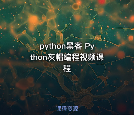 python黑客 Python灰帽编程视频课程