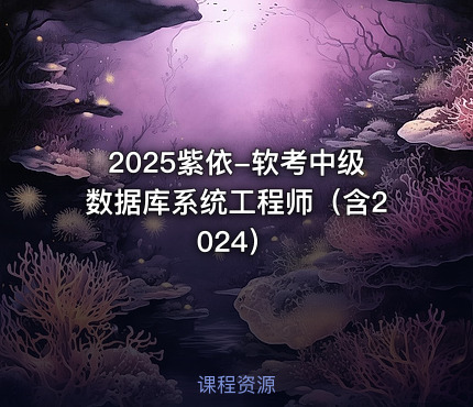 2025紫依-软考中级数据库系统工程师（含2024）