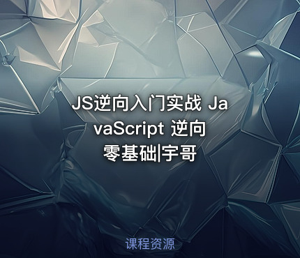 JS逆向入门实战 JavaScript 逆向零基础|宇哥