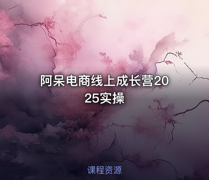 阿呆电商线上成长营2025实操