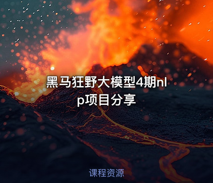 黑马狂野大模型4期nlp项目分享