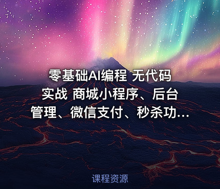 零基础AI编程 无代码实战 商城小程序、后台管理、微信支付、秒杀功能、优惠券、数据分析大屏