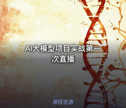 AI大模型项目实战第一次直播
