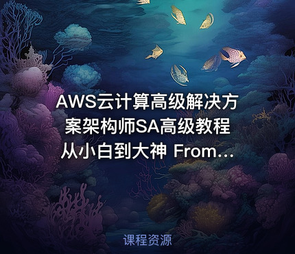 AWS云计算高级解决方案架构师SA高级教程 从小白到大神 From Zero To Hero