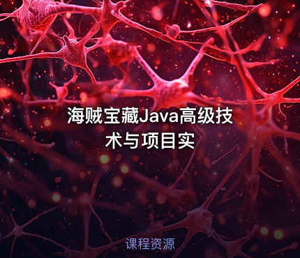 海贼宝藏Java高级技术与项目实