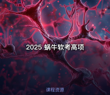 2025 蜗牛软考高项