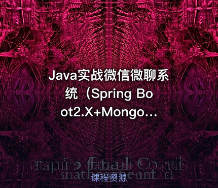 Java实战微信微聊系统（Spring Boot2.X+MongoDB+Socket）