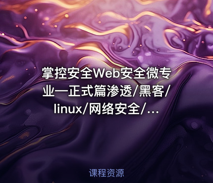 掌控安全Web安全微专业—正式篇渗透/黑客/linux/网络安全/攻防/漏洞/kali