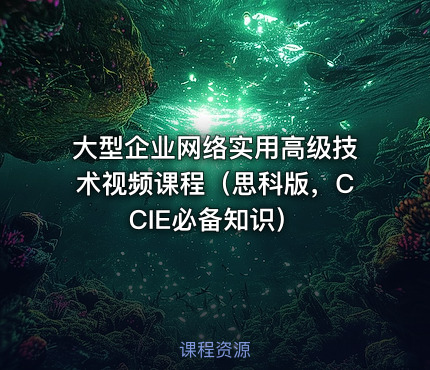 大型企业网络实用高级技术视频课程（思科版，CCIE必备知识）