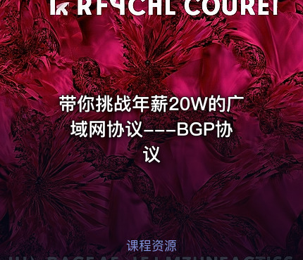 带你挑战年薪20W的广域网协议---BGP协议