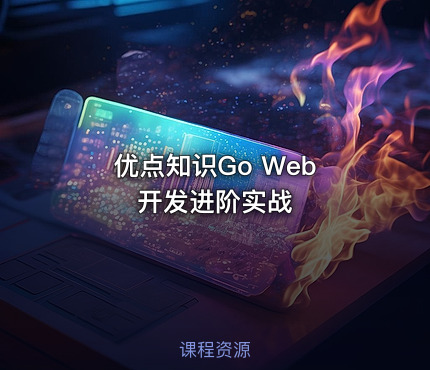 优点知识Go Web 开发进阶实战