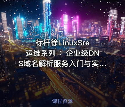 标杆徐LinuxSre运维系列 ：企业级DNS域名解析服务入门与实践（6讲）