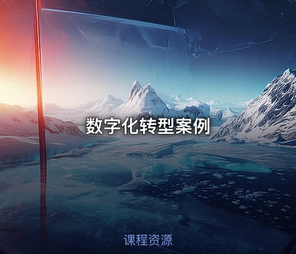 数字化转型案例