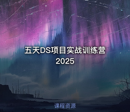 五天DS项目实战训练营2025