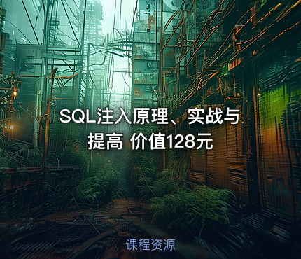 SQL注入原理、实战与提高 价值128元