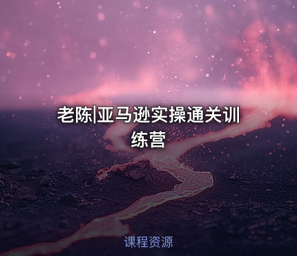 老陈|亚马逊实操通关训练营