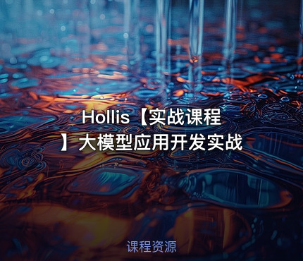 Hollis【实战课程】大模型应用开发实战
