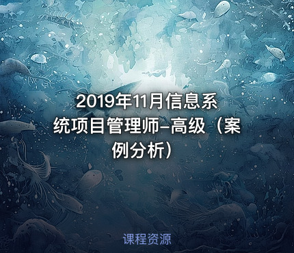 2019年11月信息系统项目管理师-高级（案例分析）