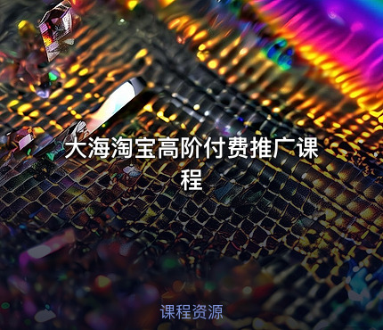 大海淘宝高阶付费推广课程