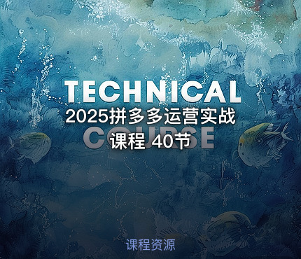 2025拼多多运营实战课程 40节