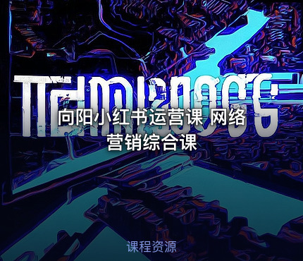 向阳小红书运营课 网络营销综合课
