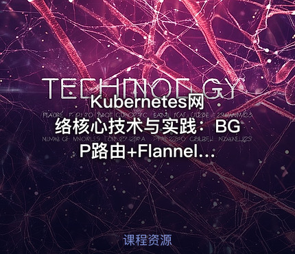 Kubernetes网络核心技术与实践：BGP路由+Flannel/Calico/Cilium网络模型+IPAM与多网卡Multus