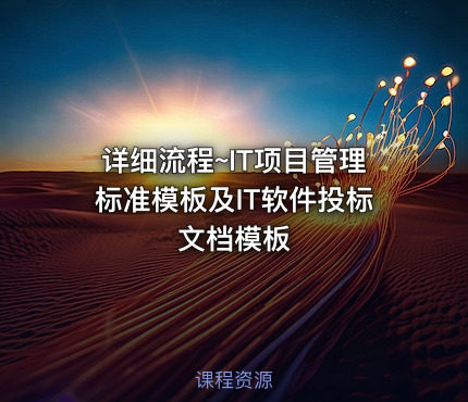 详细流程~IT项目管理标准模板及IT软件投标文档模板