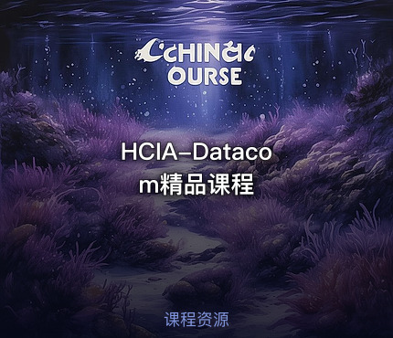 HCIA-Datacom精品课程