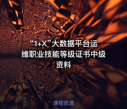 “1+X”大数据平台运维职业技能等级证书中级资料