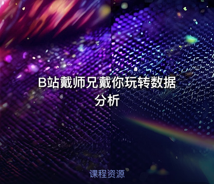 B站戴师兄戴你玩转数据分析