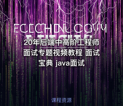 20年后端中高阶工程师面试专题视频教程 面试宝典 java面试