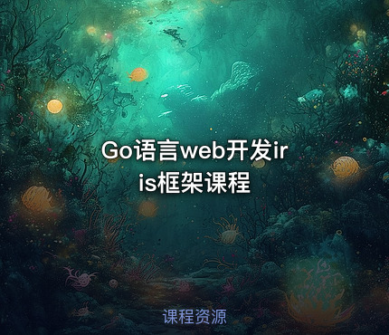 Go语言web开发iris框架课程