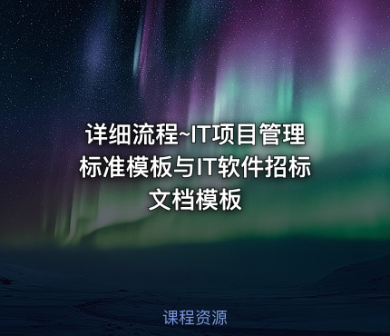 详细流程~IT项目管理标准模板与IT软件招标文档模板