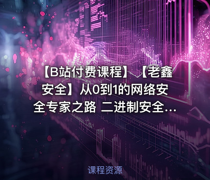 【B站付费课程】【老鑫安全】从0到1的网络安全专家之路 二进制安全和Web安全