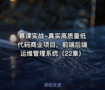 慕课实战-真实高质量低代码商业项目，前端后端运维管理系统（22章）