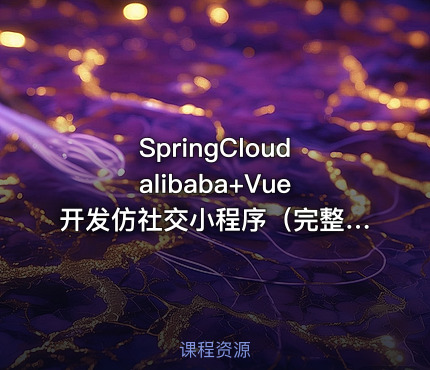 SpringCloudalibaba+Vue开发仿社交小程序（完整版19章）