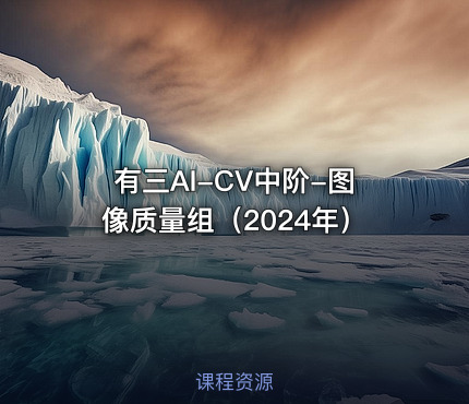 有三AI-CV中阶-图像质量组（2024年）