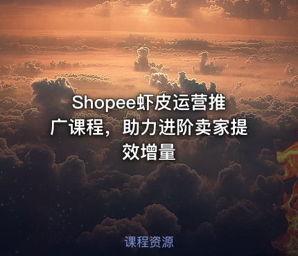 Shopee虾皮运营推广课程，助力进阶卖家提效增量