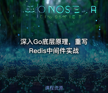 深入Go底层原理，重写Redis中间件实战