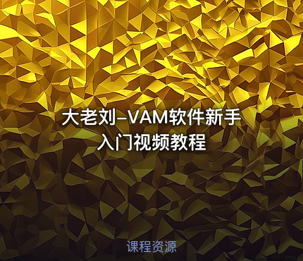 大老刘-VAM软件新手入门视频教程