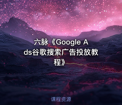 六脉《Google Ads谷歌搜索广告投放教程》