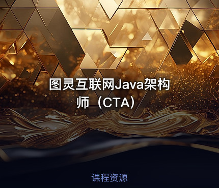 图灵互联网Java架构师（CTA）
