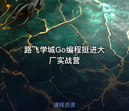 路飞学城Go编程挺进大厂实战营