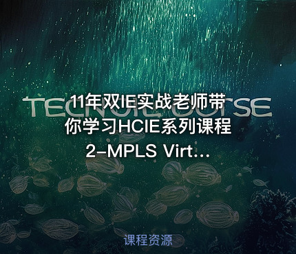 11年双IE实战老师带你学习HCIE系列课程2-MPLS Virtual-PN
