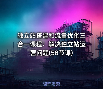 独立站搭建和流量优化三合一课程：解决独立站运营问题(56节课)