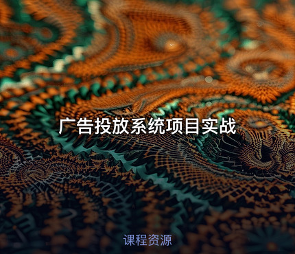 广告投放系统项目实战