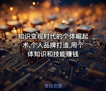 知识变现时代的个体崛起术,个人品牌打造,用个体知识和技能赚钱