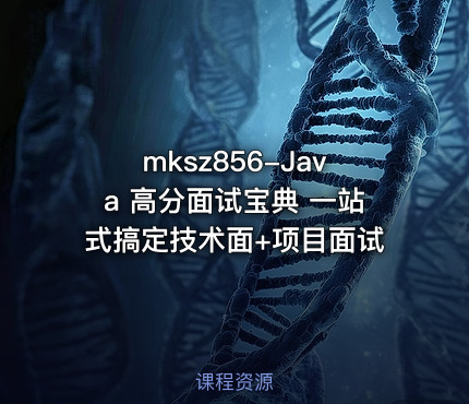 mksz856-Java 高分面试宝典 一站式搞定技术面+项目面试